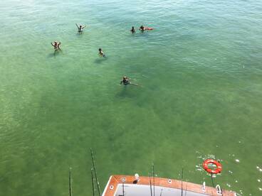 Orange Beach Report Photo 1