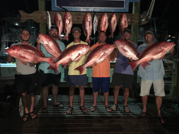 Snapper season 2016