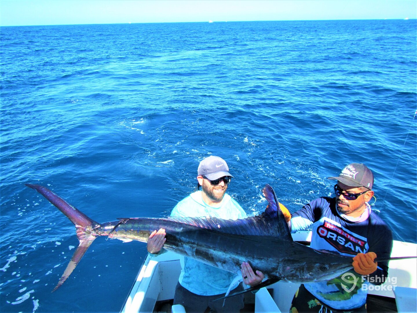 Cabo San Lucas Report Photo 0