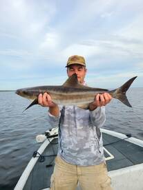 Great fishing in the past week even with