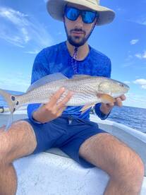 Cape Coral Report Photo 2