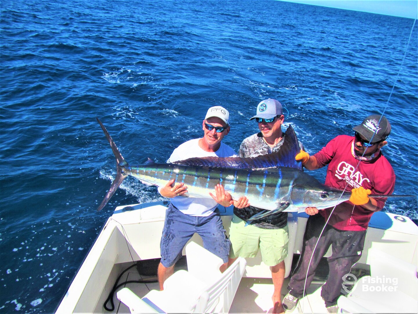 Cabo San Lucas Report Photo 0