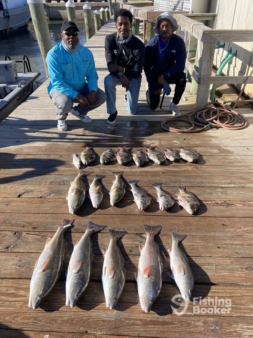 Port O'Connor Report Photo 0