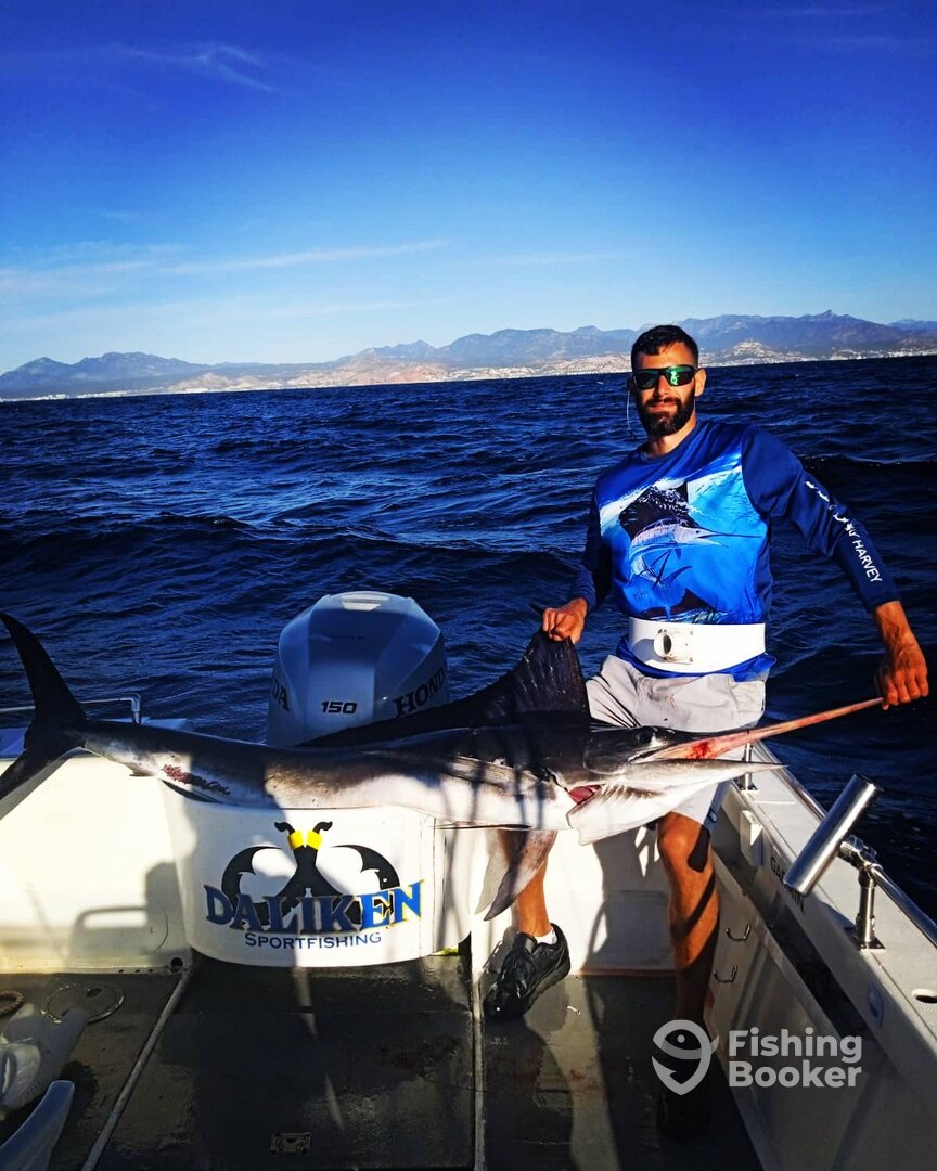 San Jose del Cabo Report Photo 0
