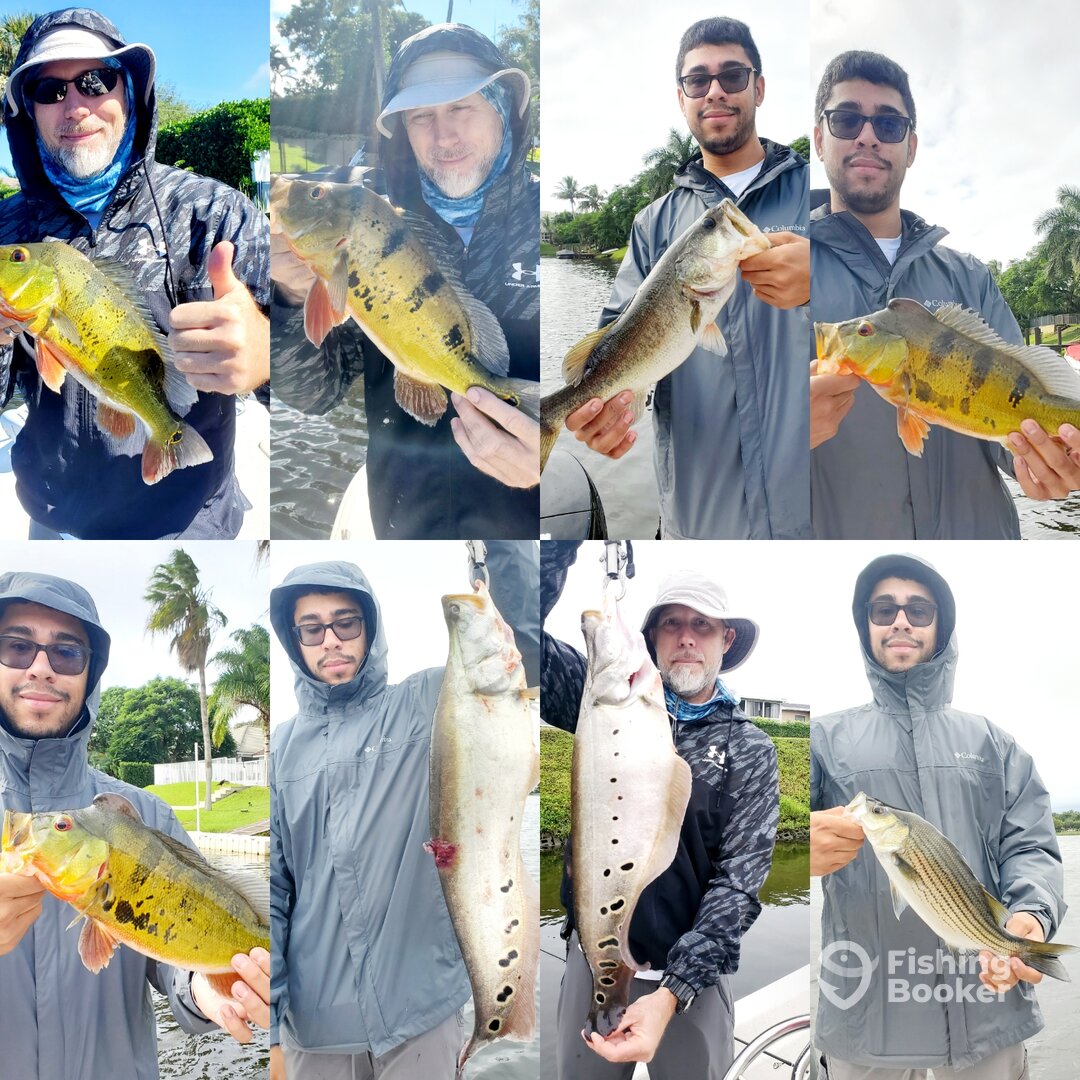Delray Beach Report Photo 0