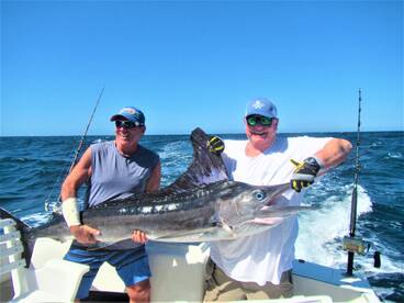Cabo San Lucas Report Photo 2
