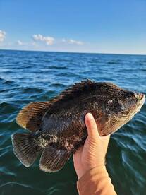 Fishing Report 11/8/2021