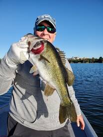 Orlando Report Photo 1