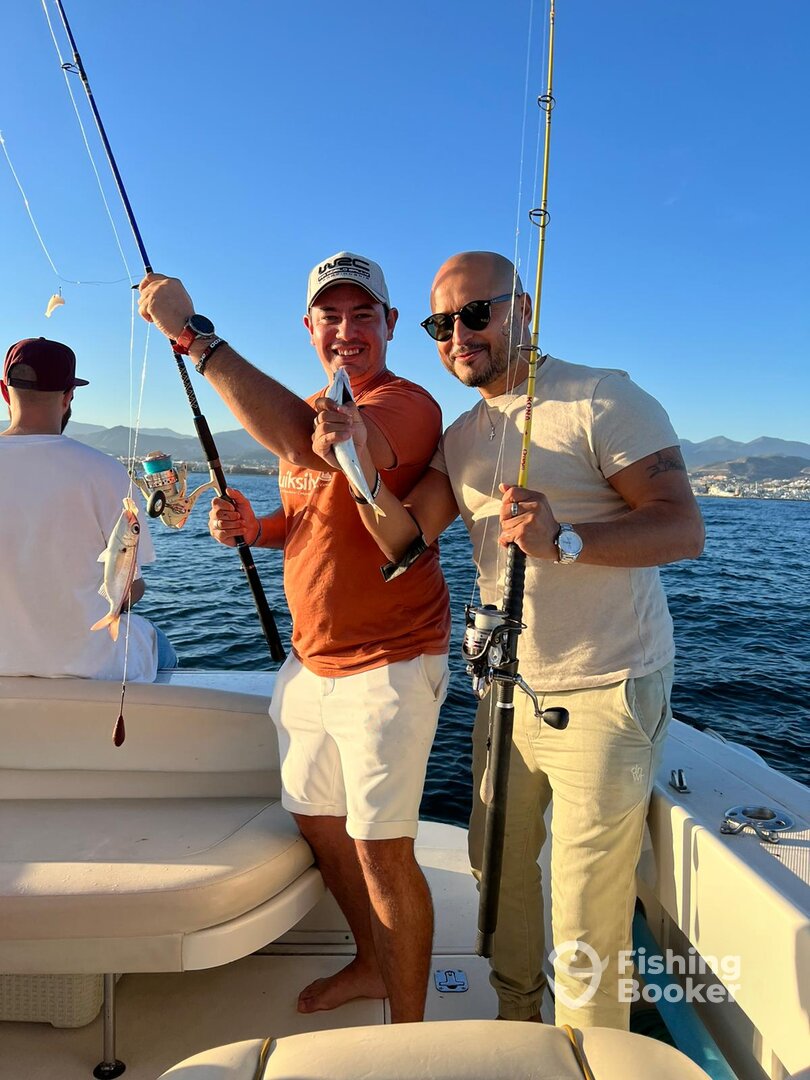 Marbella Report Photo 0