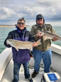 The bite is on
