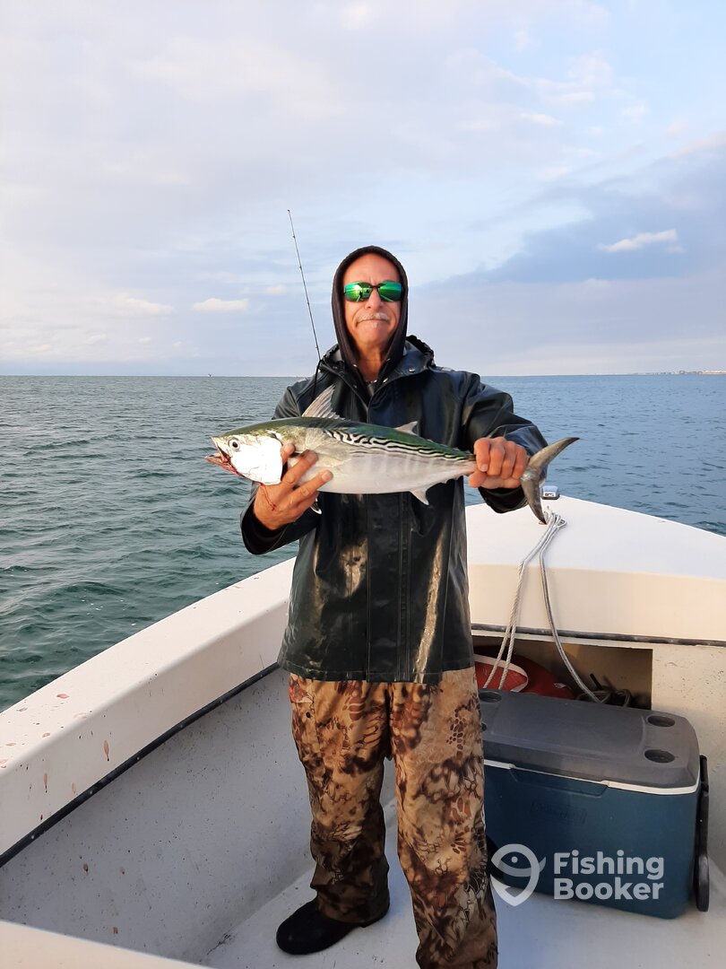 Morehead City Report Photo 0