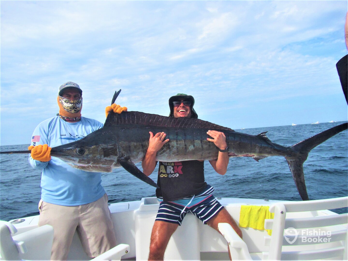 Cabo San Lucas Report Photo 0