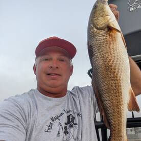 Redfishing has been great