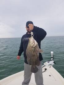 Tripletail galore