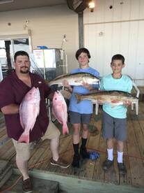 Venice Report Photo 2