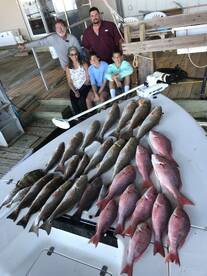 Venice Report Photo 1