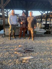 Poquoson Report Photo 1