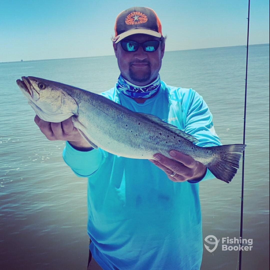Galveston Report Photo 0
