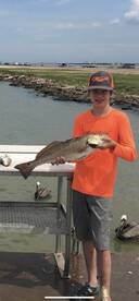 Galveston Report Photo 2