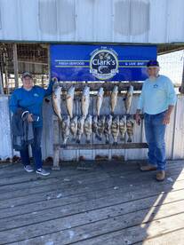 Port O'Connor Report Photo 2