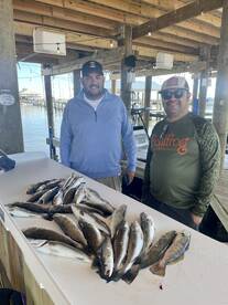 Trout fishing the Louisiana Marsh