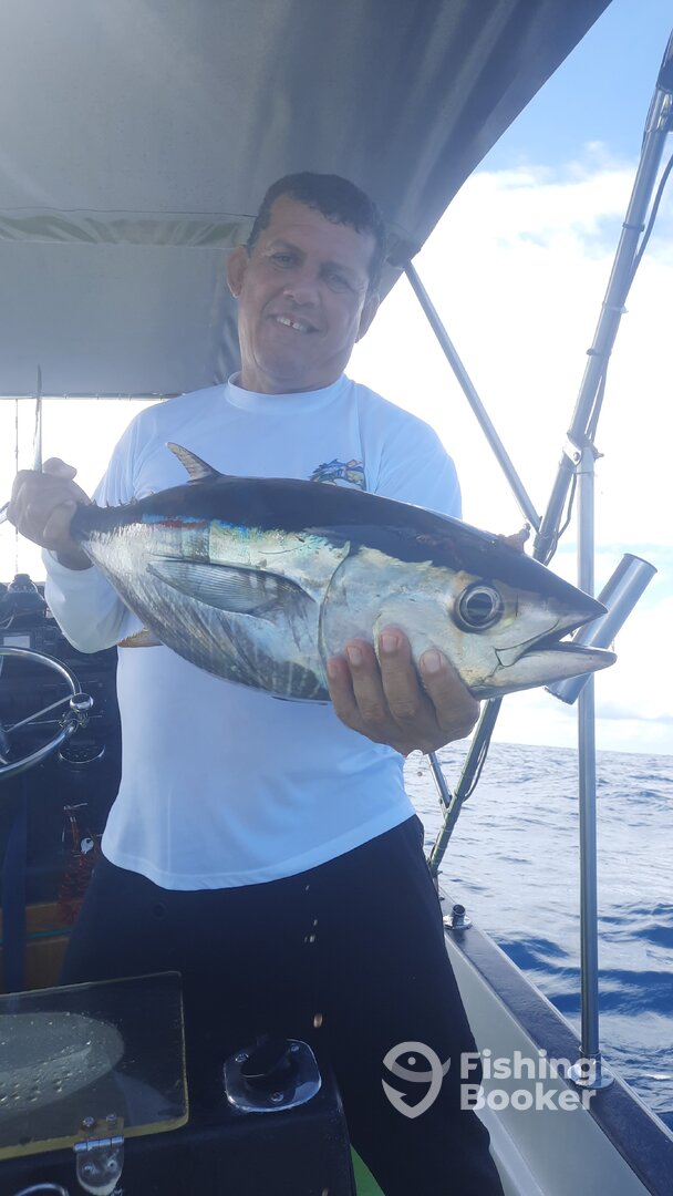 Puerto Jiménez Report Photo 0