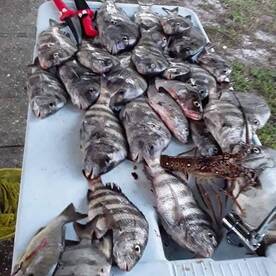 New Smyrna Beach Report Photo 2