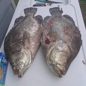 New Smyrna Beach Report Photo 1