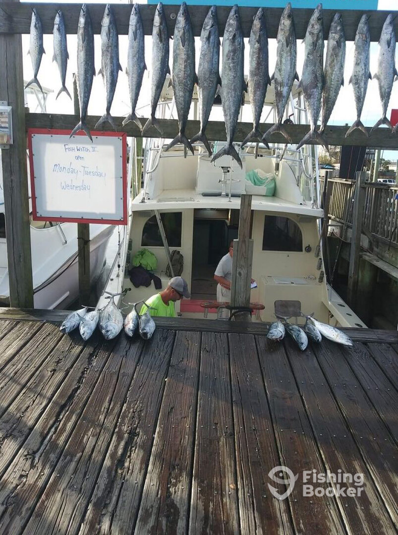 Carolina Beach Report Photo 0