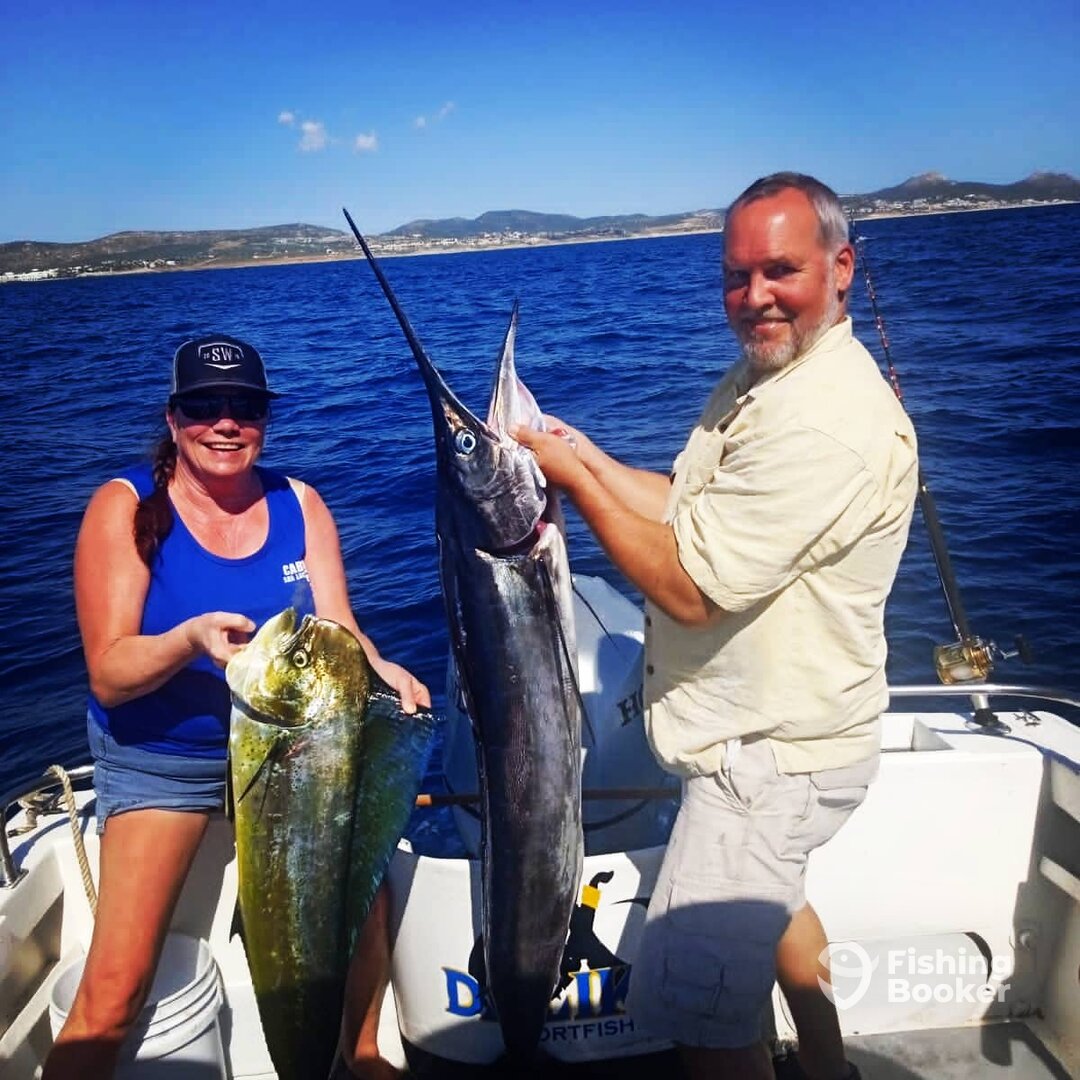 San Jose del Cabo Report Photo 0