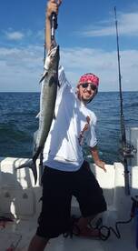 Big Kingfish!!