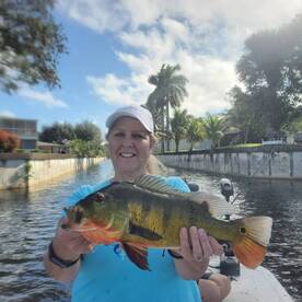 Peacocks, peacocks, and more peacocks!