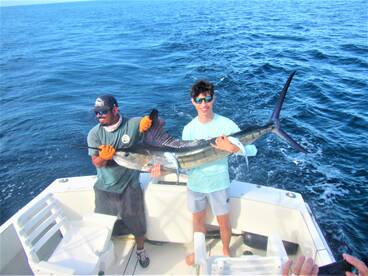 Cabo San Lucas Report Photo 1