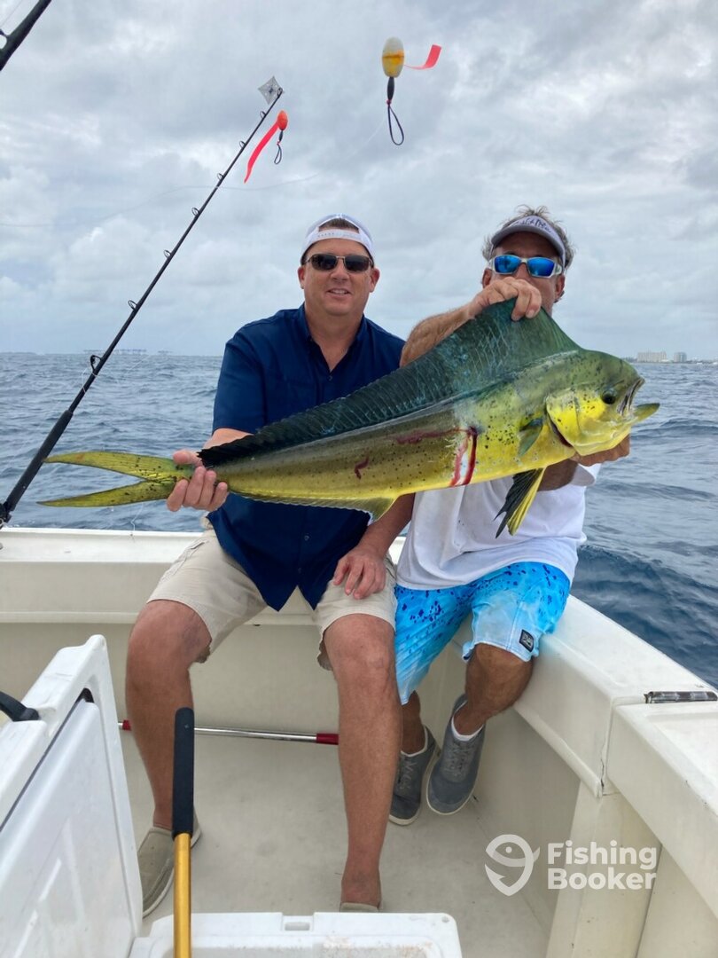Fort Lauderdale Report Photo 0