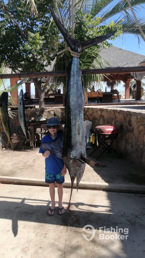 San Jose del Cabo Report Photo 0