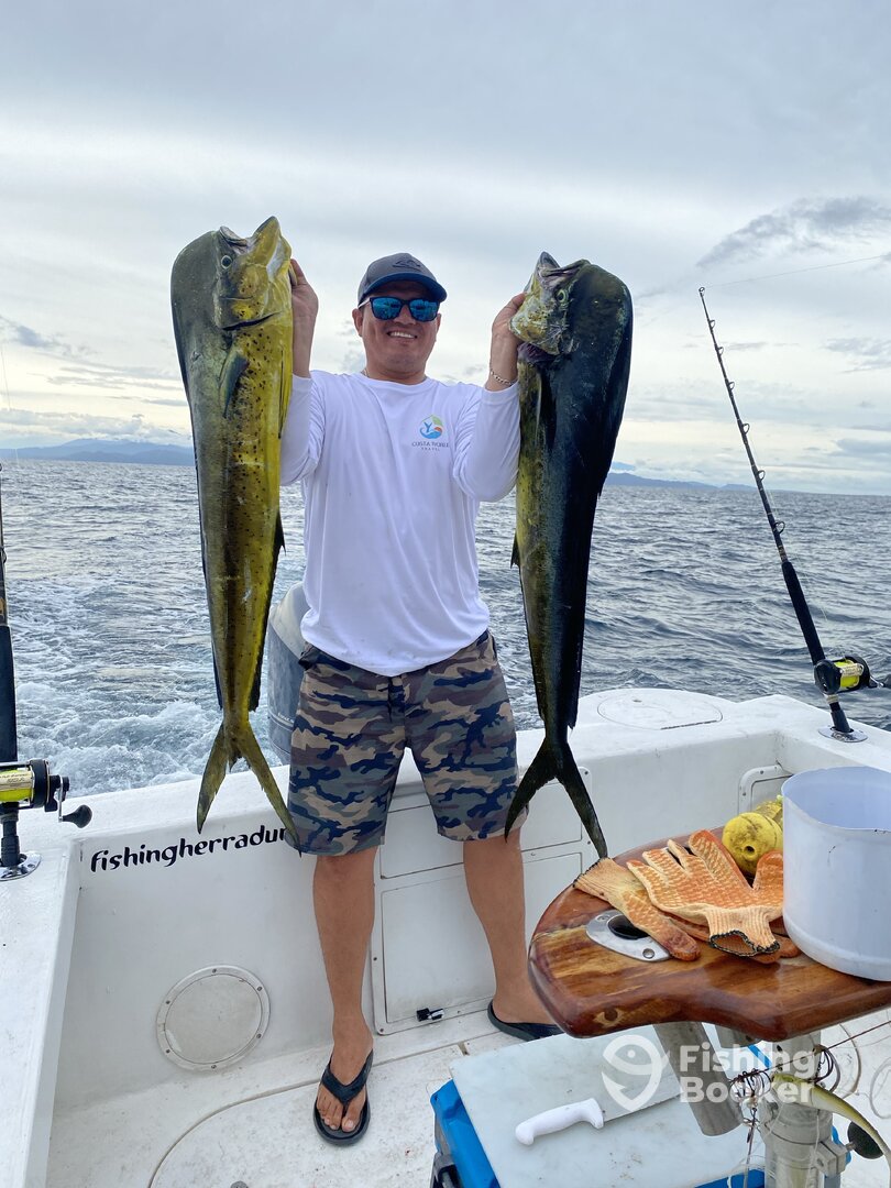 Herradura Report Photo 0