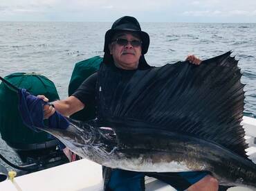 Sailfish Report in Puerto Vallarta Mexic