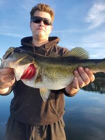 Orlando Report Photo 1