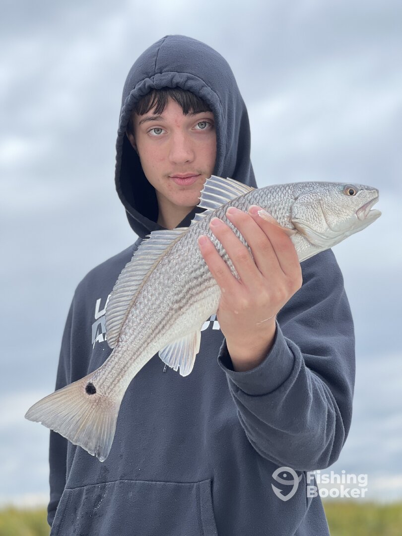 Darien Report Photo 0
