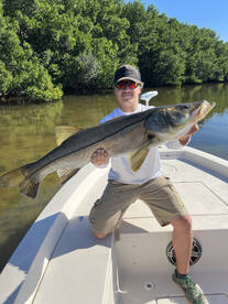 Christmas Time In St. Petersburg Fl 