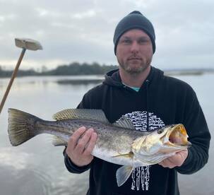 24.5' trout