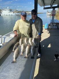Galveston Report Photo 2