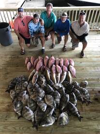 Venice Report Photo 2