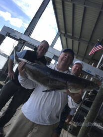 Venice Report Photo 1