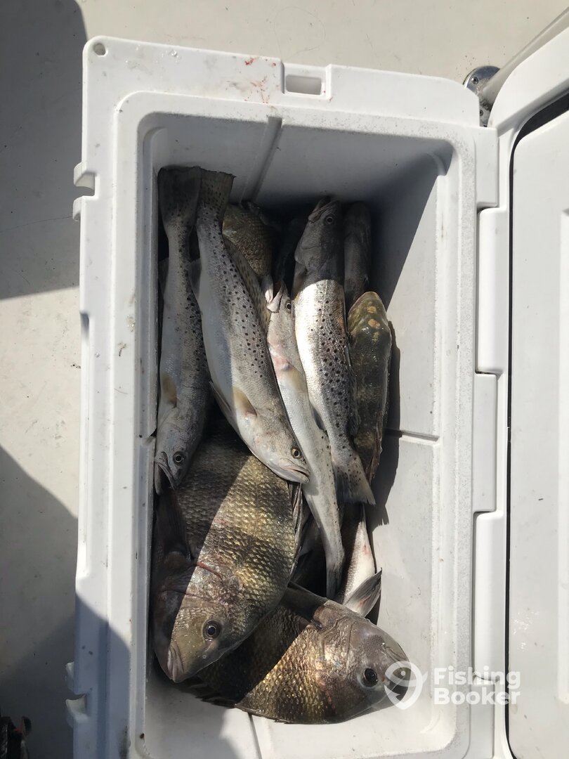 Biloxi Report Photo 0