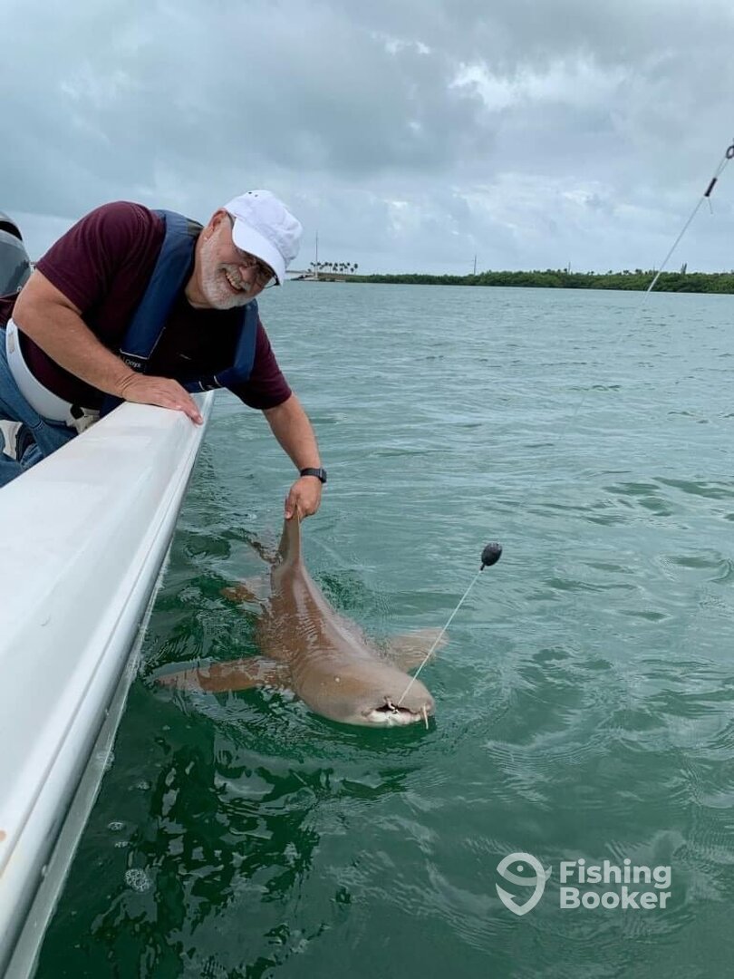Islamorada Report Photo 0