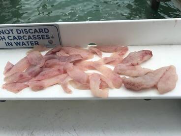 Islamorada Report Photo 2