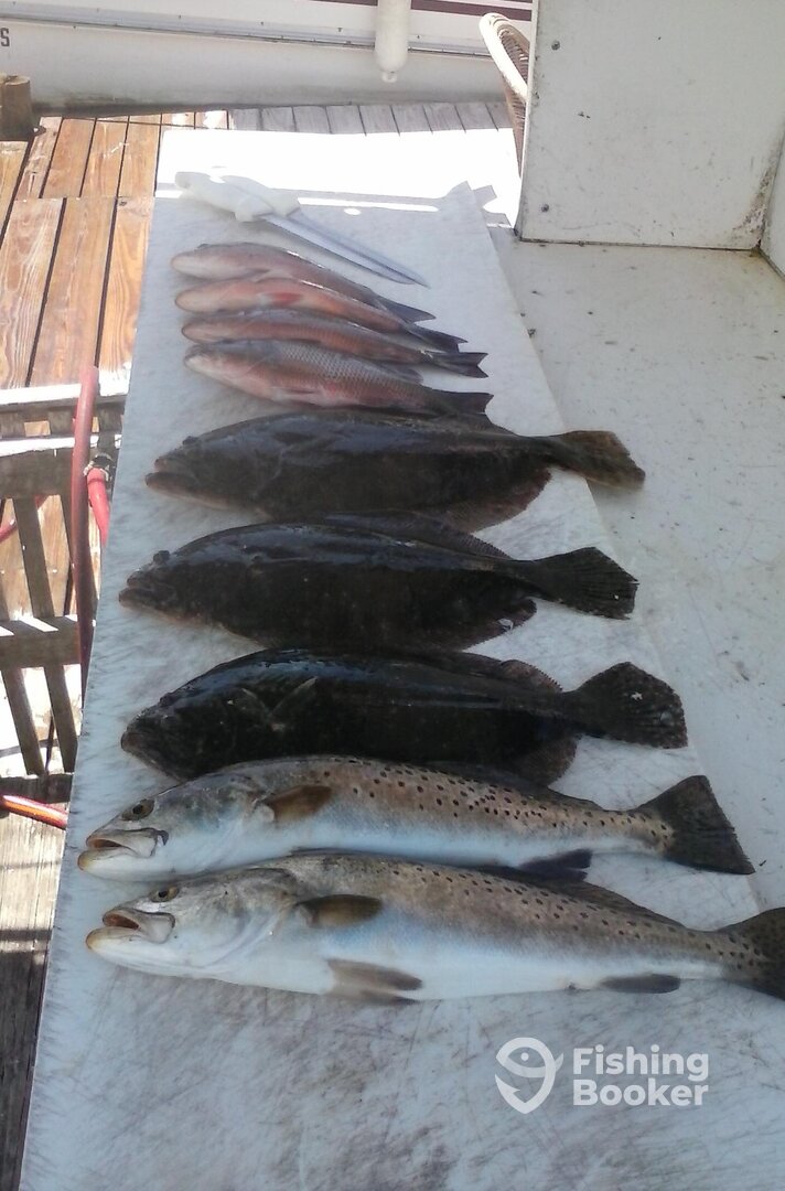 Holmes Beach Report Photo 0