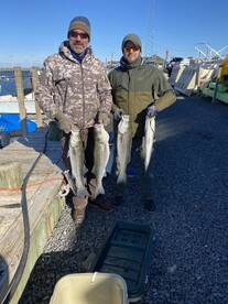 Barnegat Light Report Photo 2