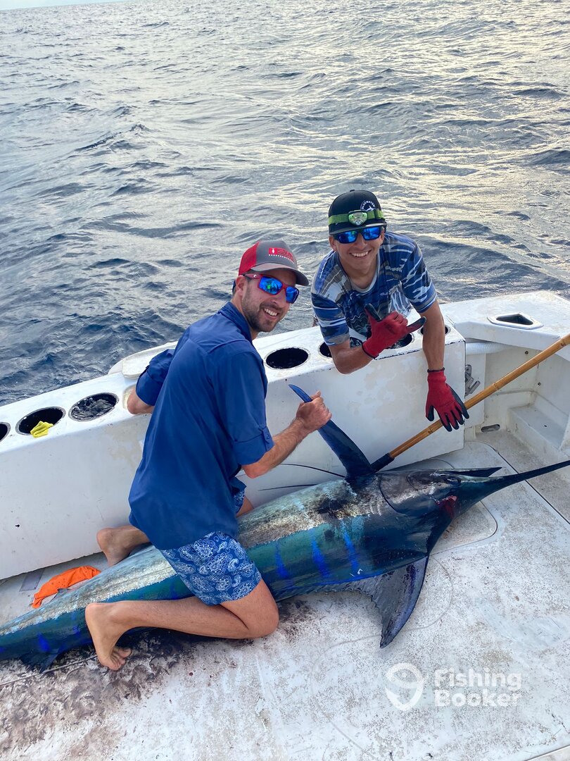 Marlin fishing report